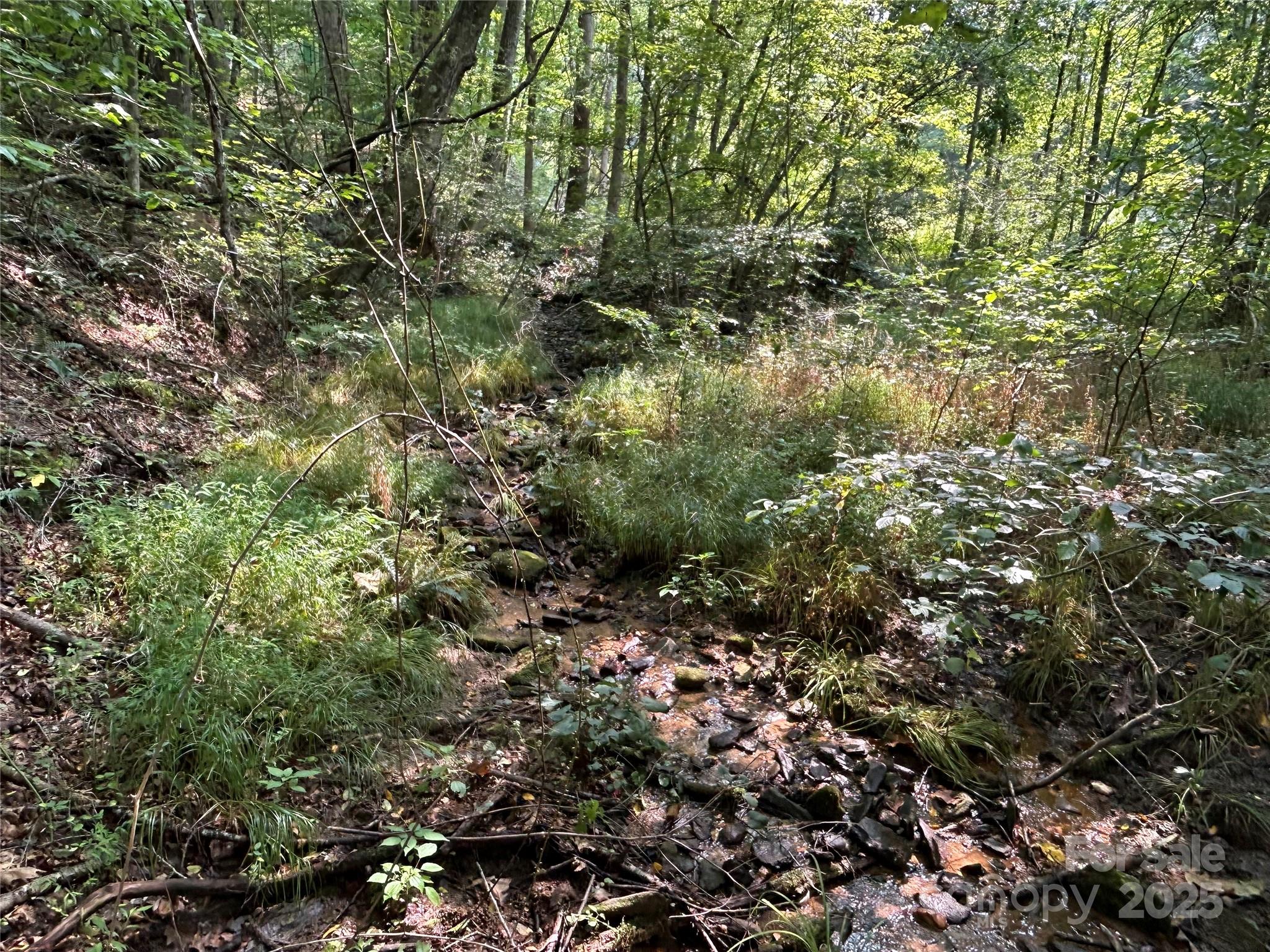 100 S Lindon Cove Road Candler NC 28715