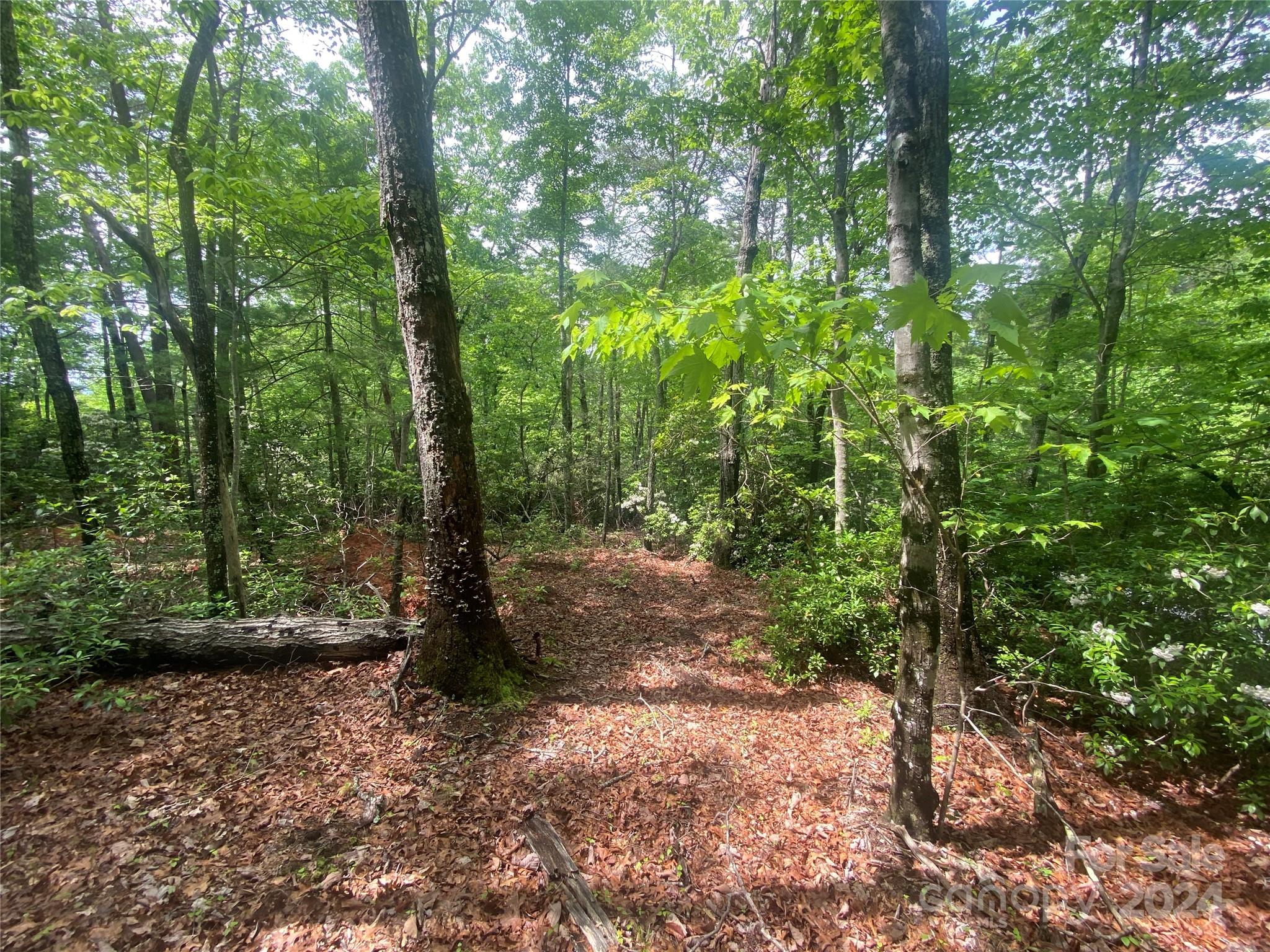Lot 49 Bald Eagle Lane Marion NC 28752