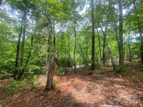 Lot 49 Bald Eagle Lane Marion NC 28752