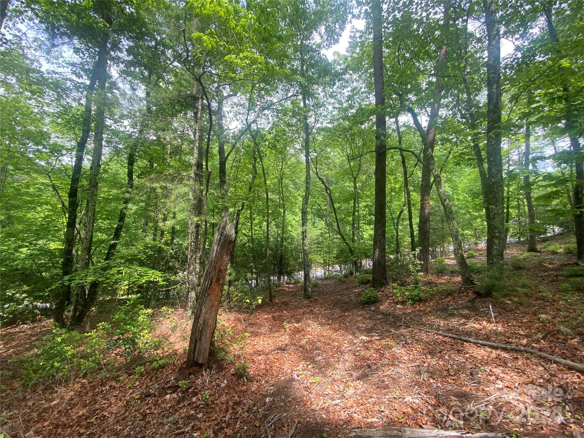 Lot 49 Bald Eagle Lane Marion NC 28752