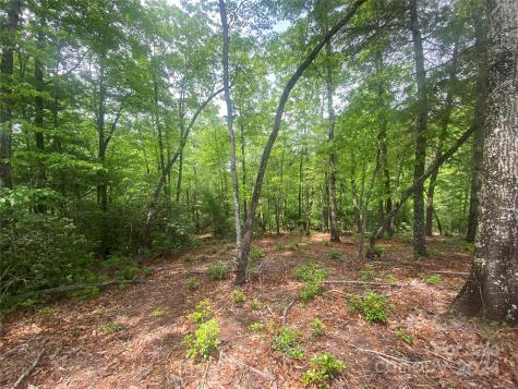 Lot 49 Bald Eagle Lane Marion NC 28752