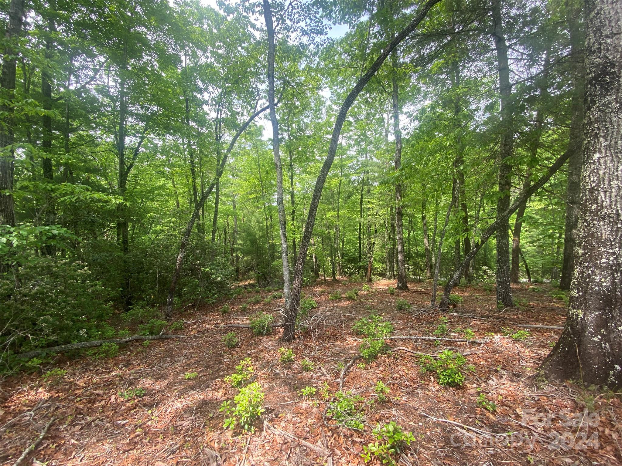 Lot 49 Bald Eagle Lane Marion NC 28752