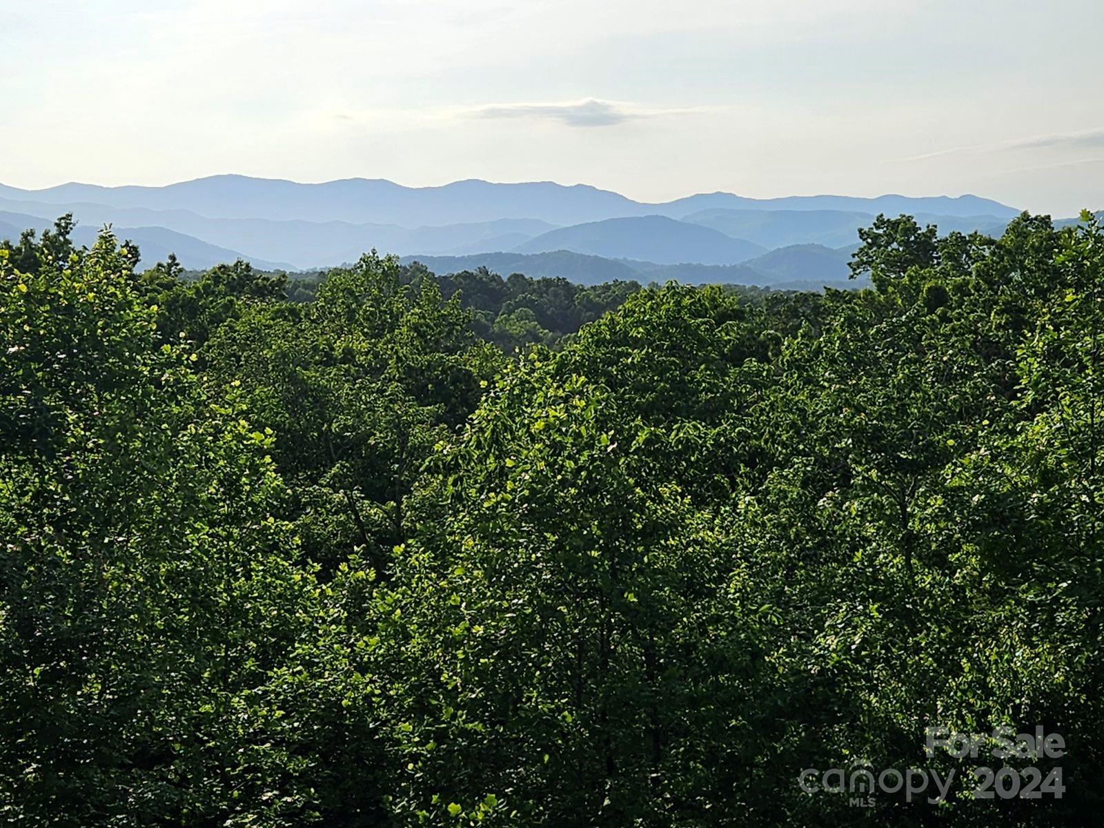 Lot 49 Bald Eagle Lane Marion NC 28752