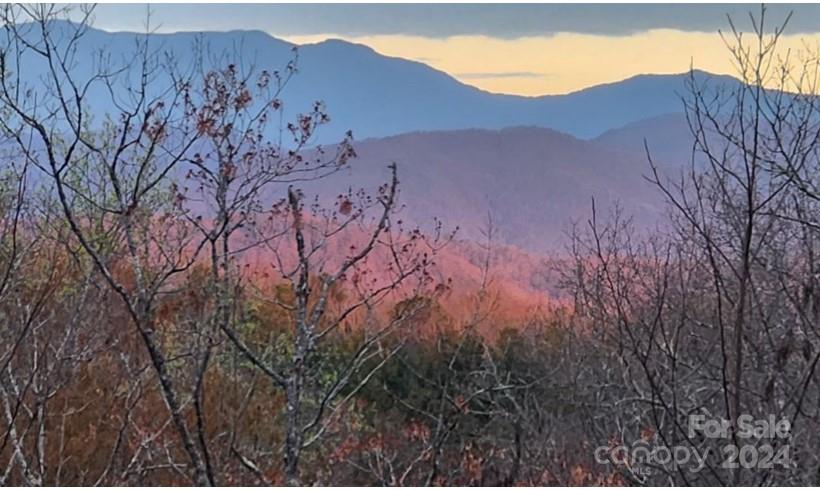 Lot 49 Bald Eagle Lane Marion NC 28752