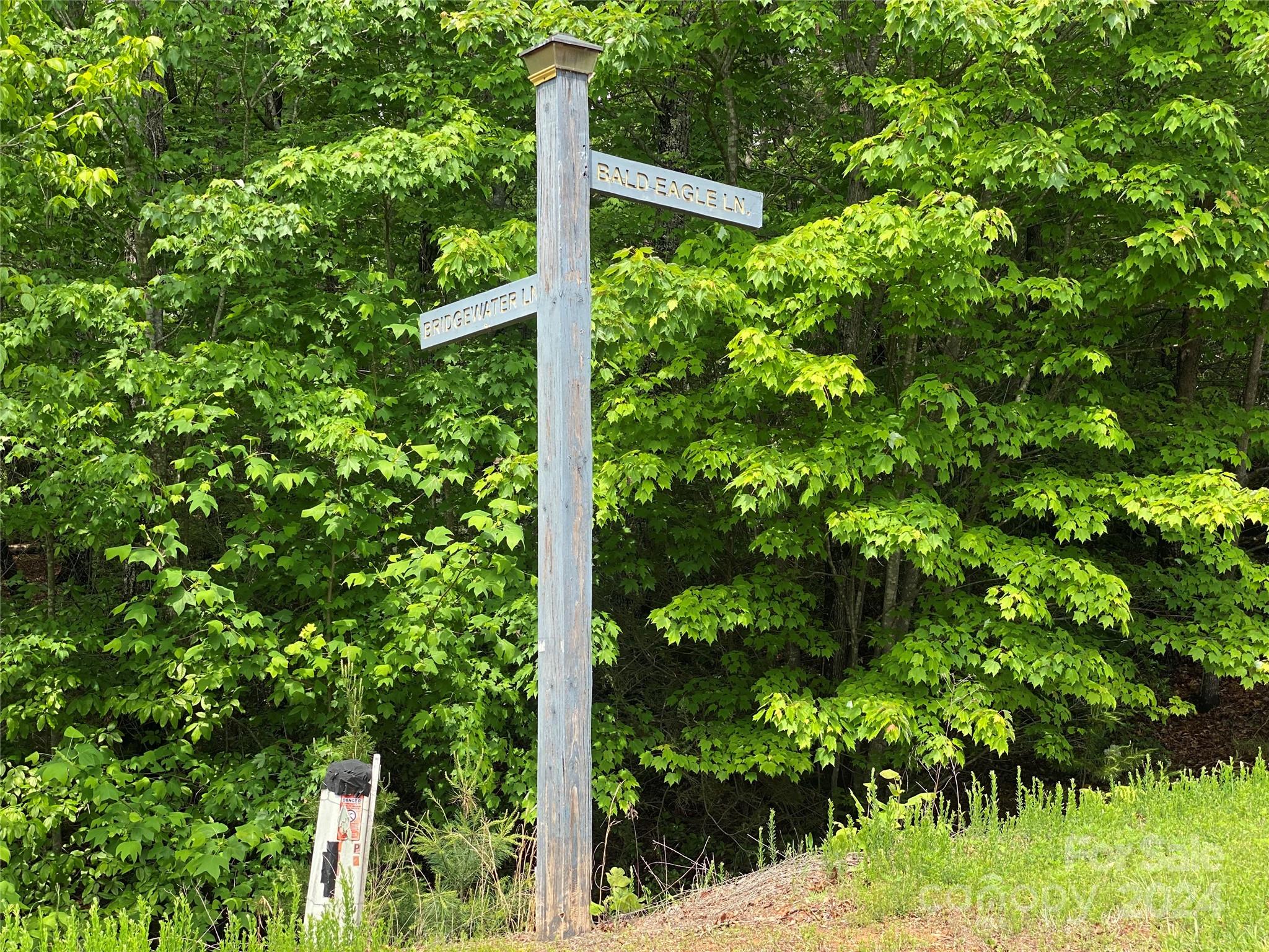 Lot 49 Bald Eagle Lane Marion NC 28752