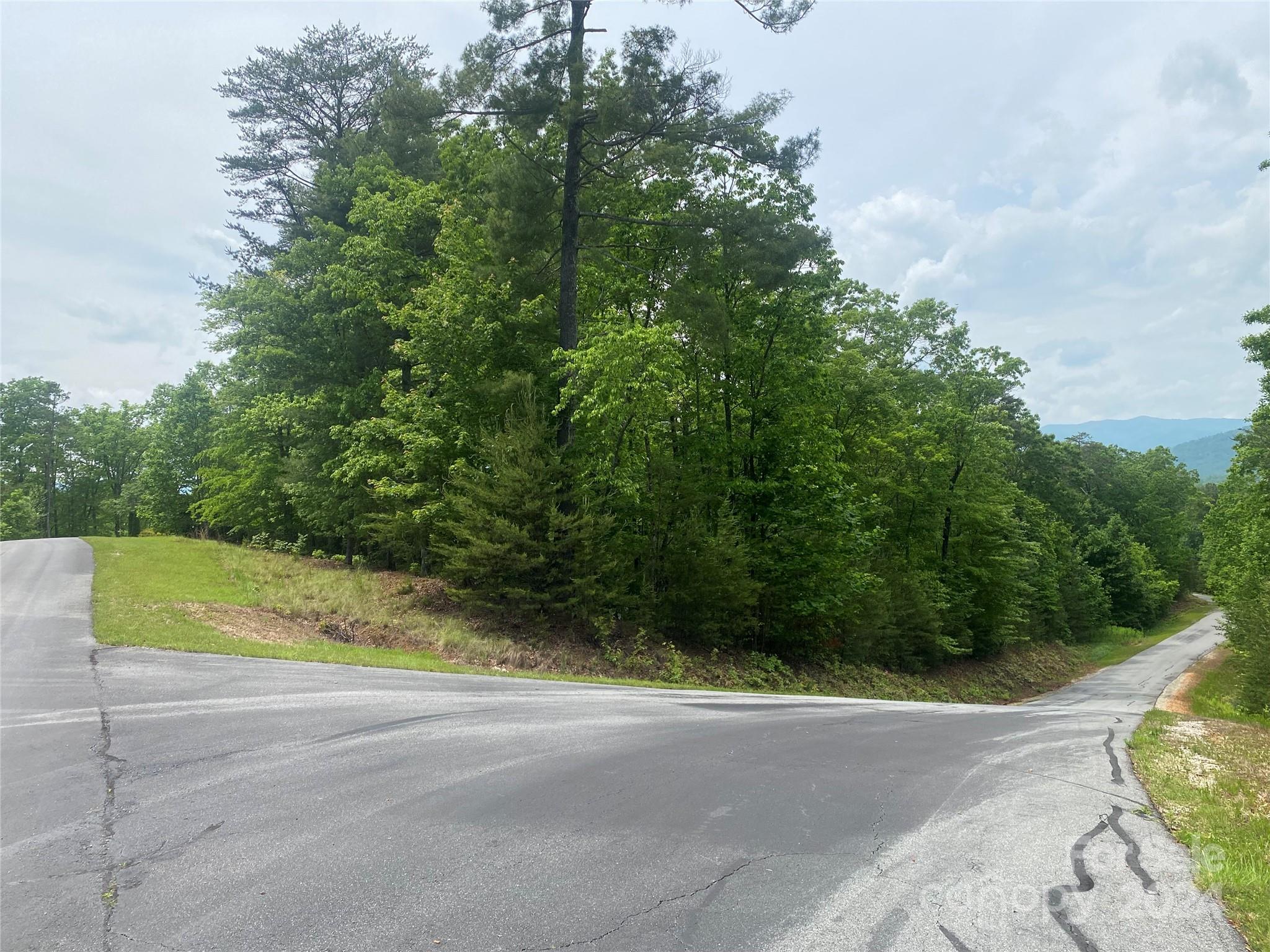 Lot 49 Bald Eagle Lane Marion NC 28752
