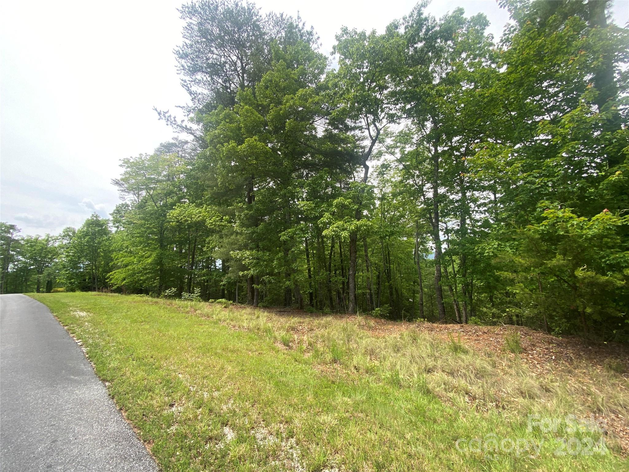 Lot 49 Bald Eagle Lane Marion NC 28752