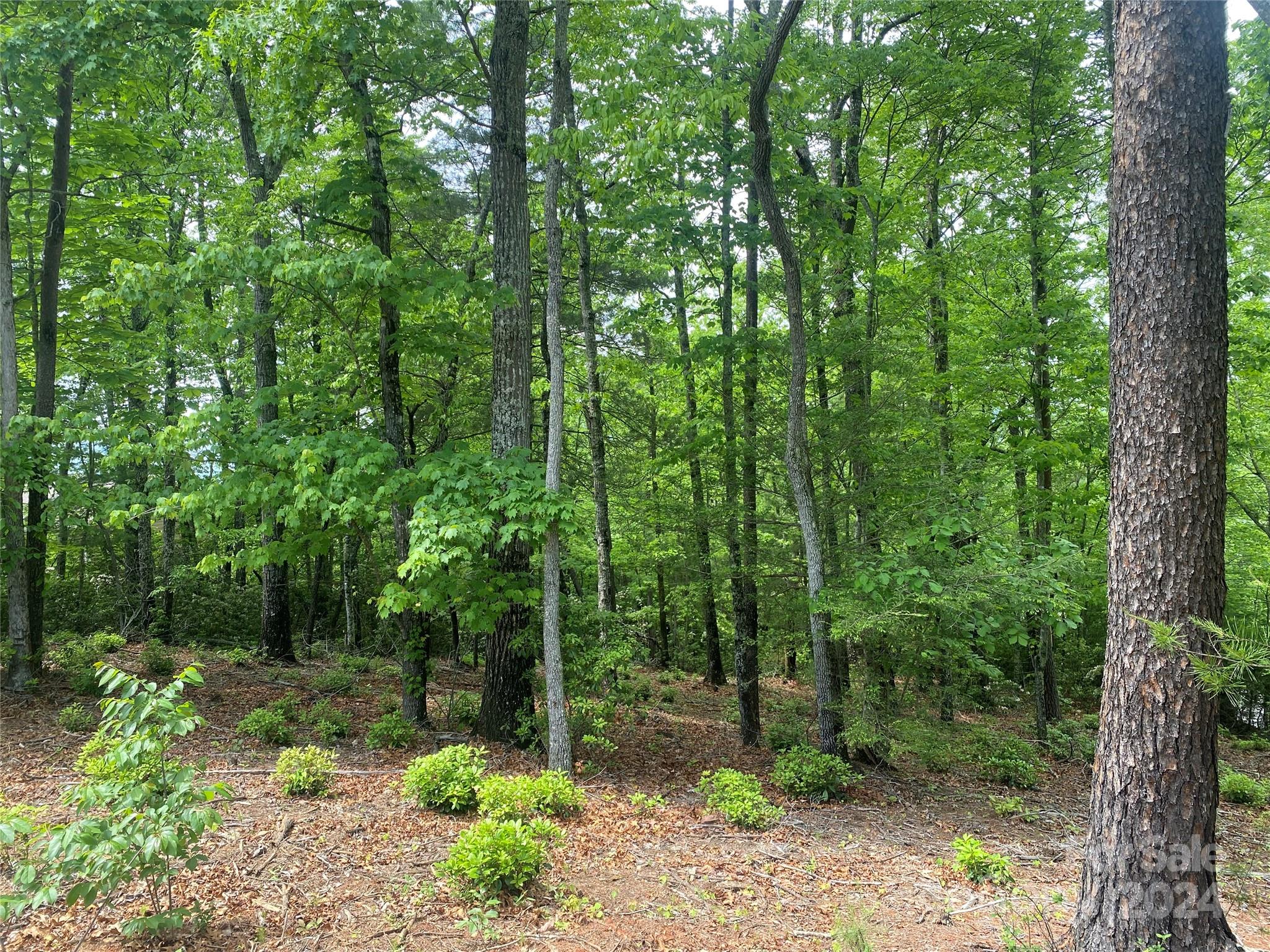 Lot 49 Bald Eagle Lane Marion NC 28752