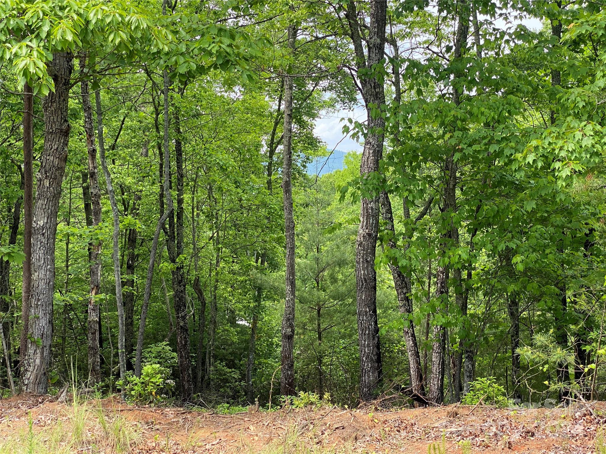 Lot 49 Bald Eagle Lane Marion NC 28752