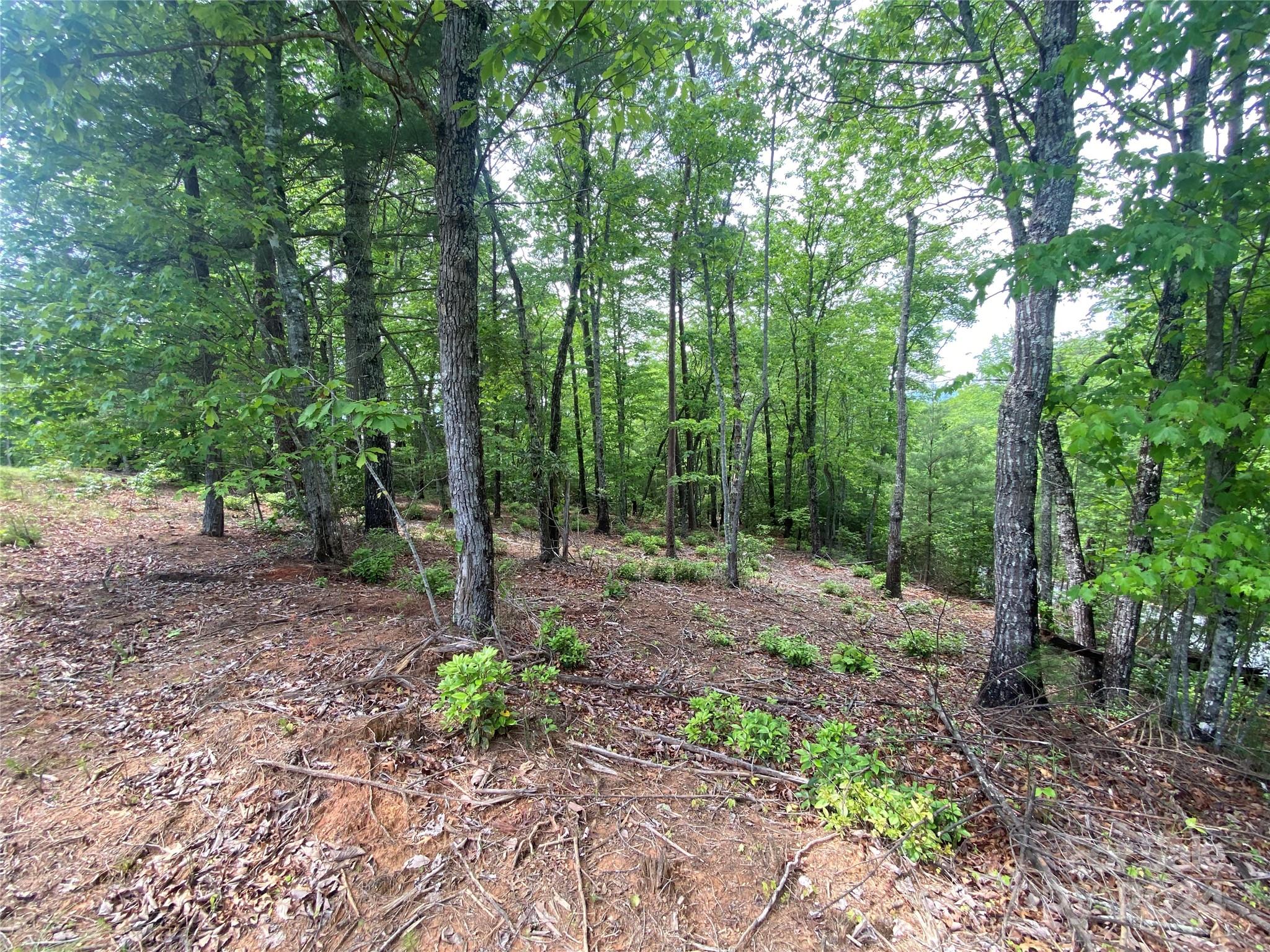 Lot 49 Bald Eagle Lane Marion NC 28752