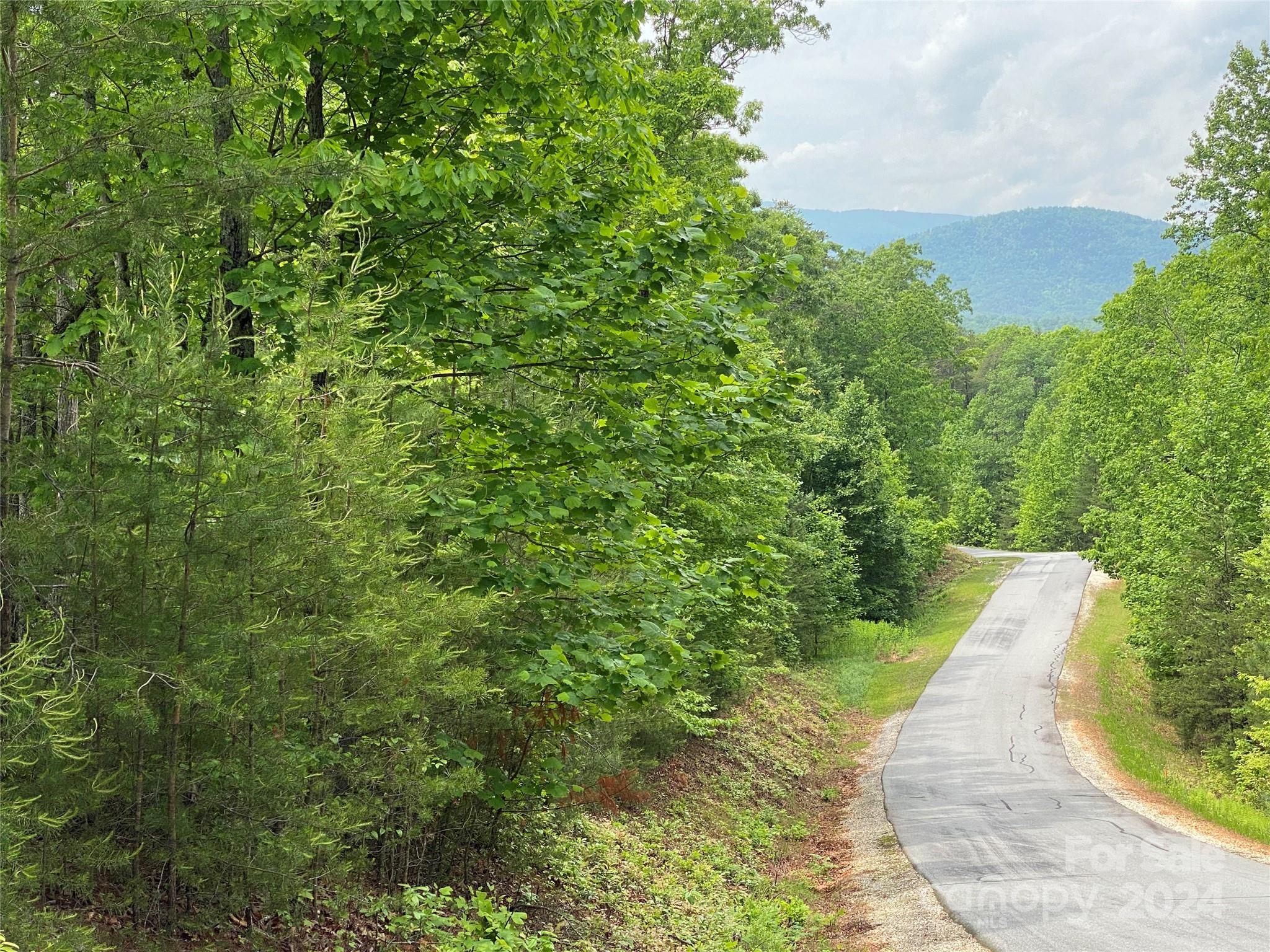 Lot 49 Bald Eagle Lane Marion NC 28752
