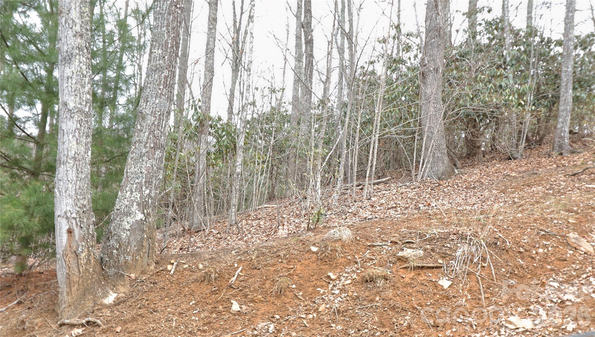Tbd Vineyards Retreat Road Newland NC 28657