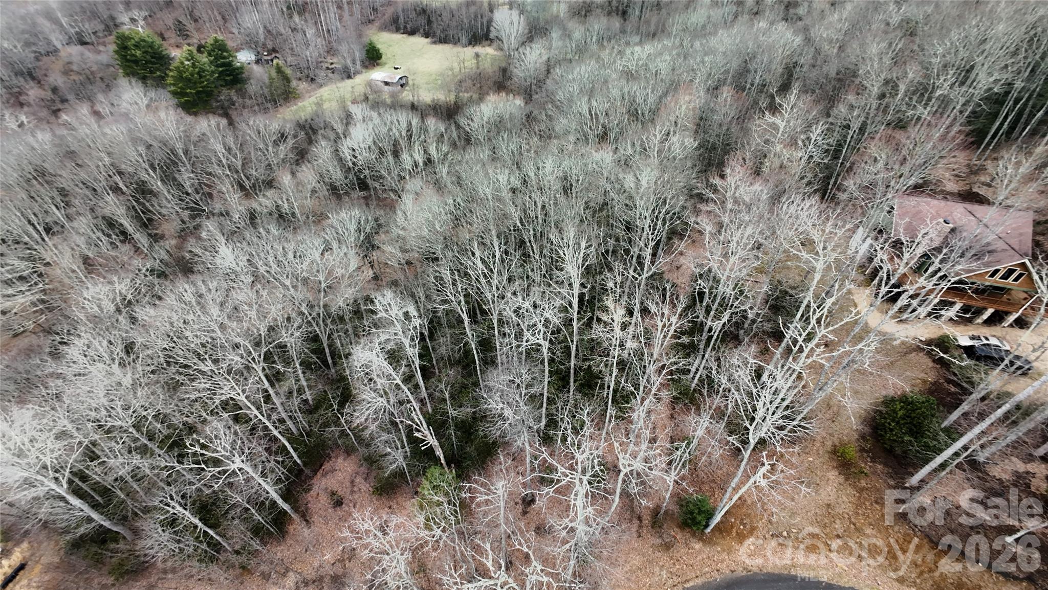 Tbd Vineyards Retreat Road Newland NC 28657
