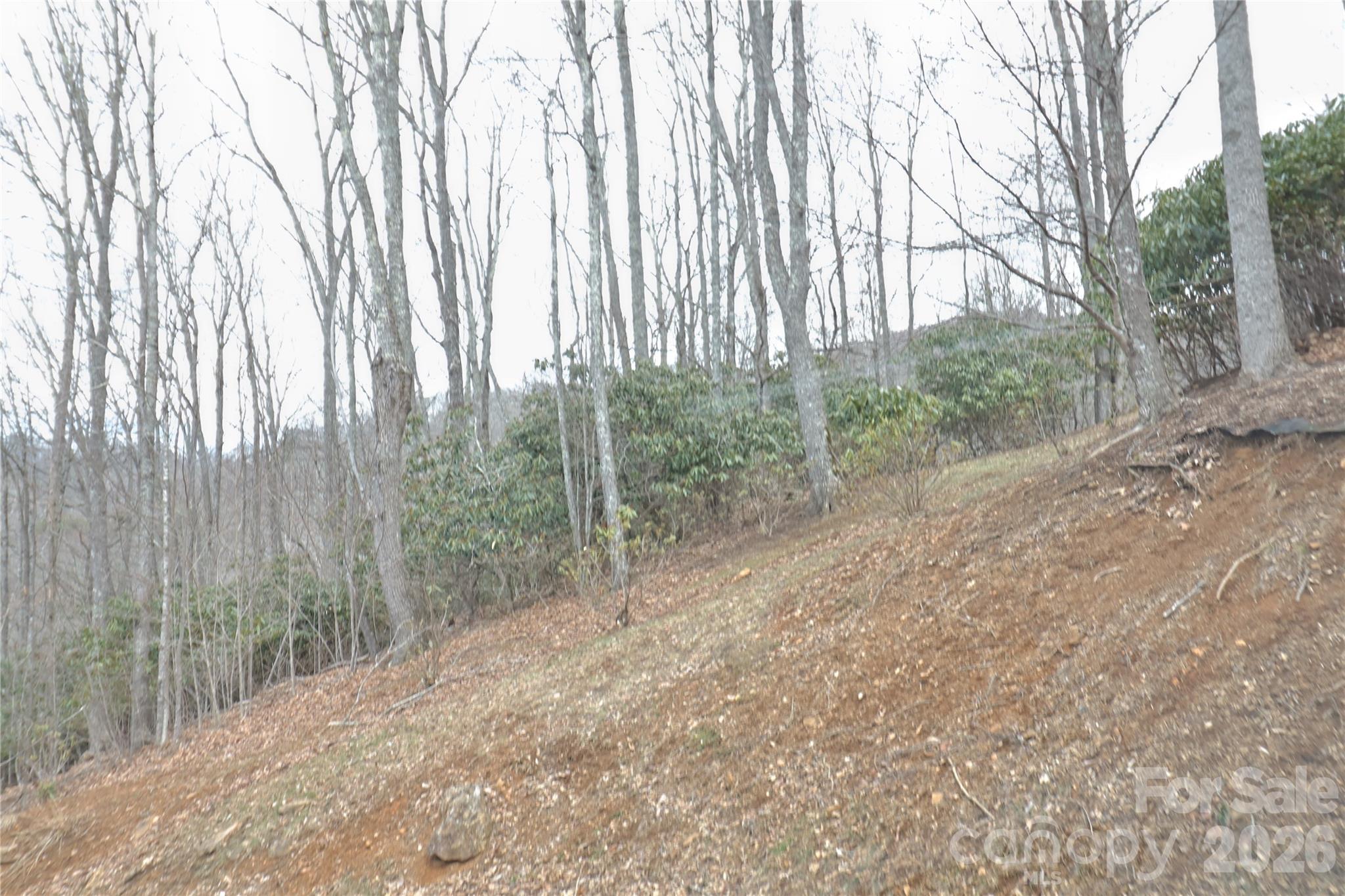 Tbd Vineyards Retreat Road Newland NC 28657