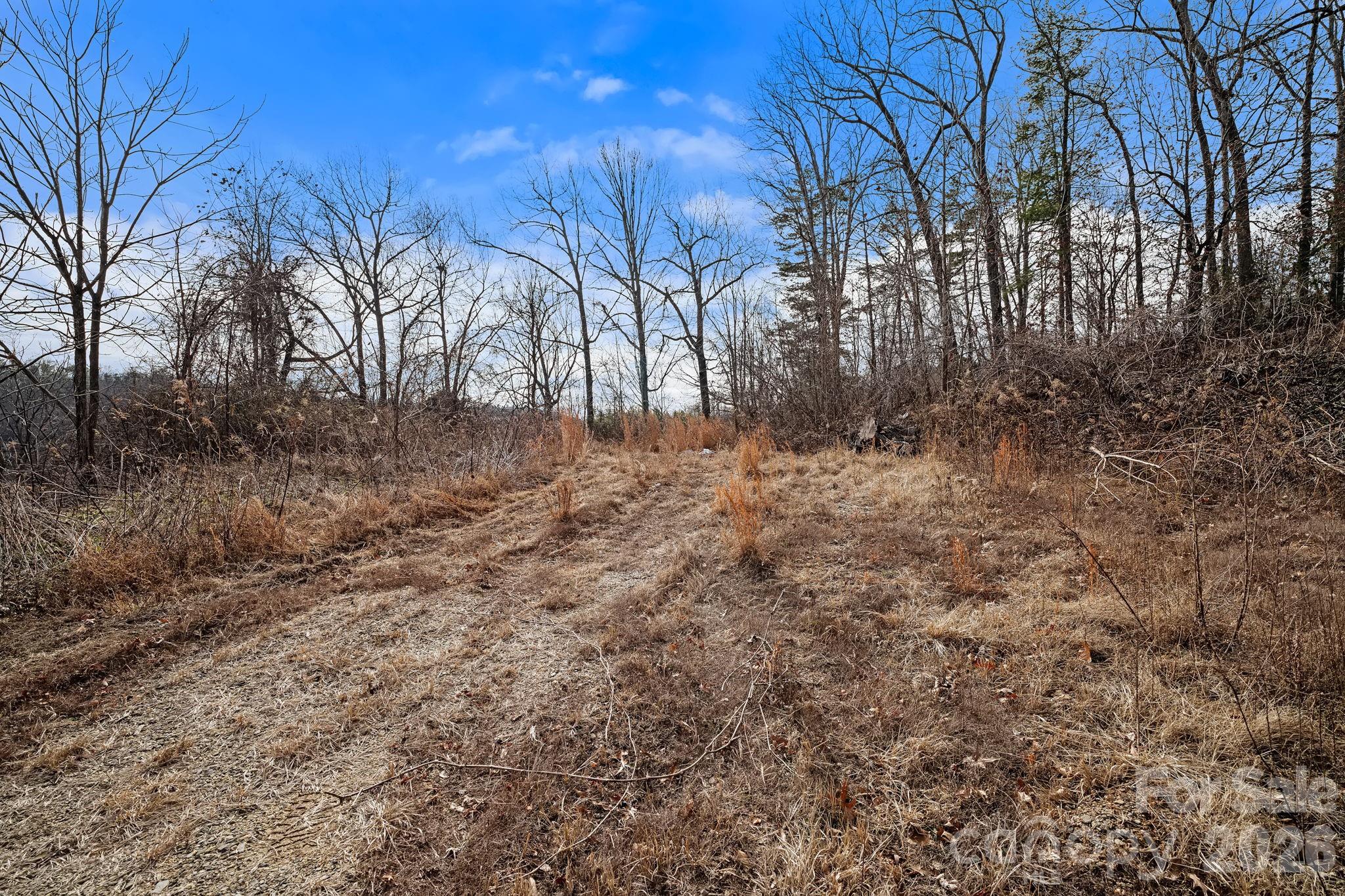 99999 Crestfield Avenue Asheville NC 28804