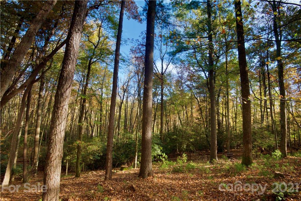 59 Misty Valley Parkway Arden NC 28704