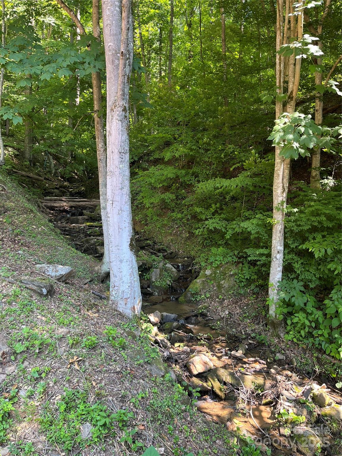 481 Sugar Mountain Road Waynesville NC 28785