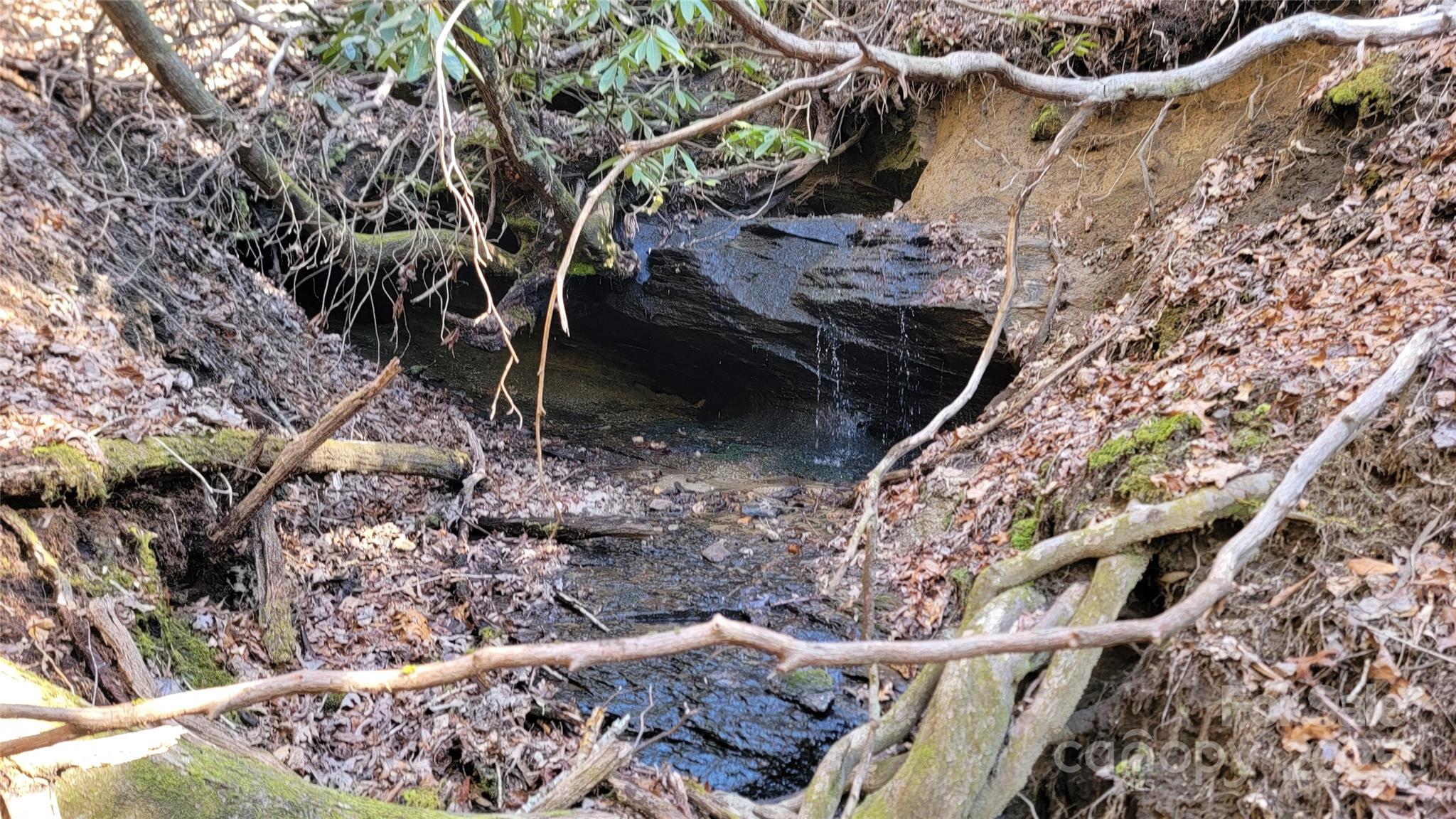 137 Moon Circle Brevard NC 28712