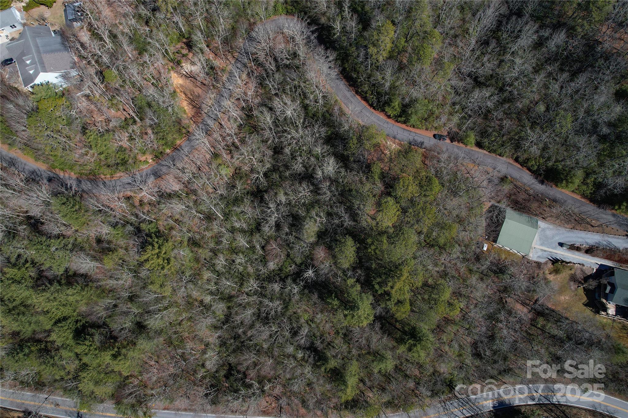 137 Moon Circle Brevard NC 28712