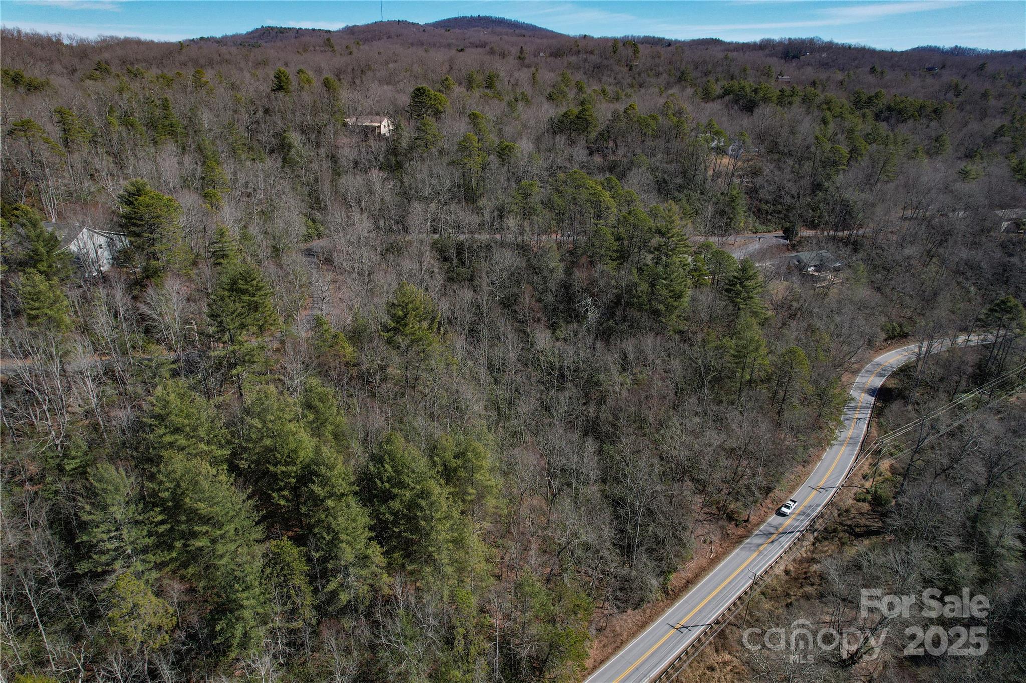 137 Moon Circle Brevard NC 28712