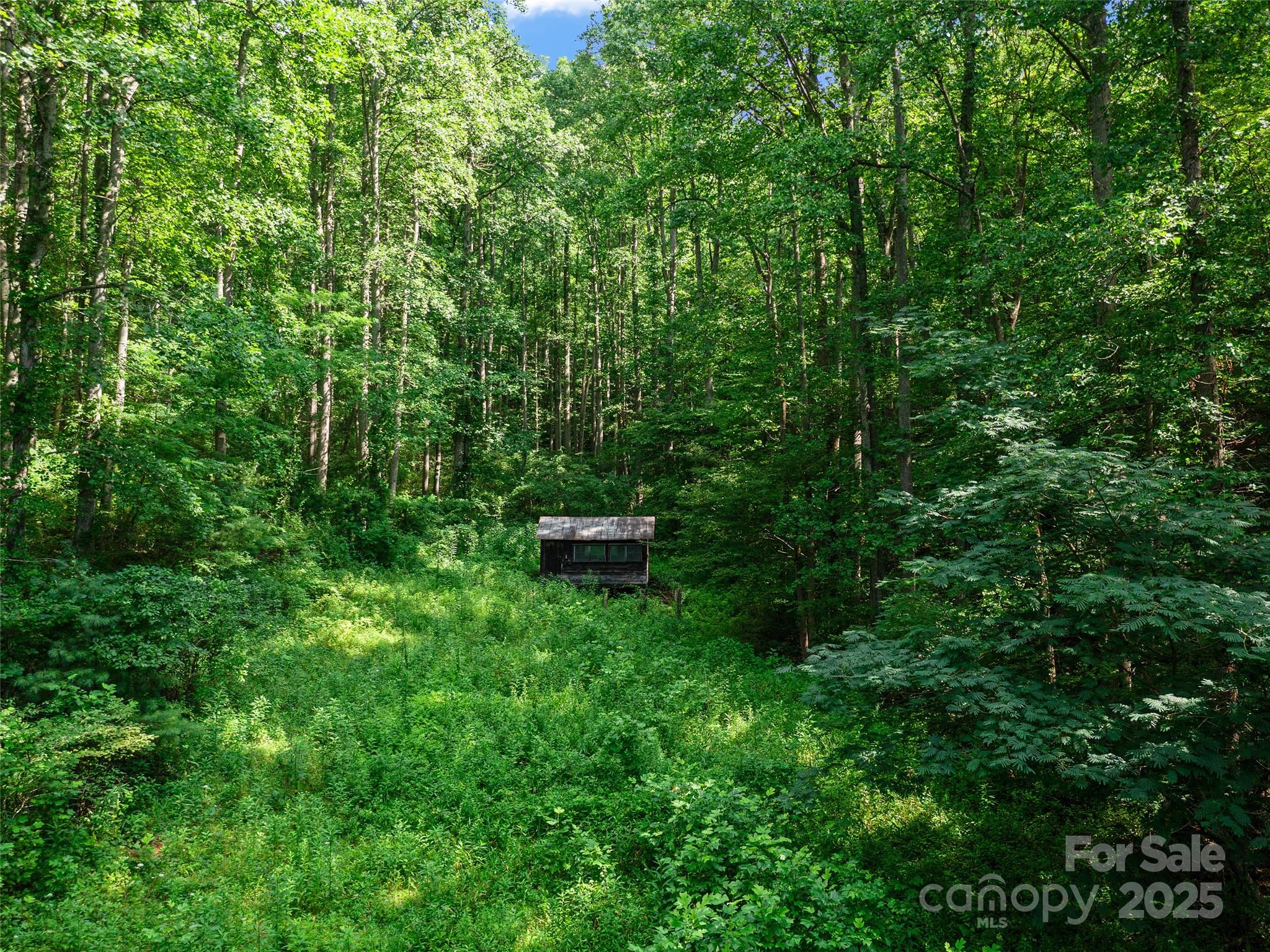 9065 Nc 63 Highway Leicester NC 28748