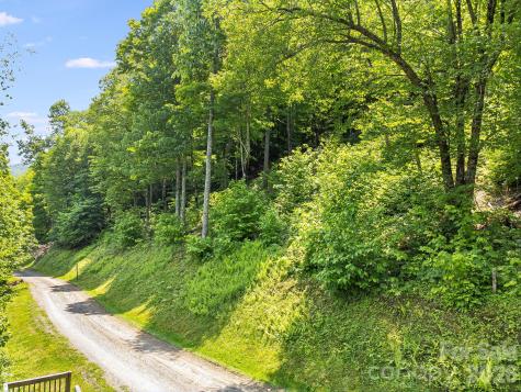 17 Mountain Gait Drive Mars Hill NC 28754