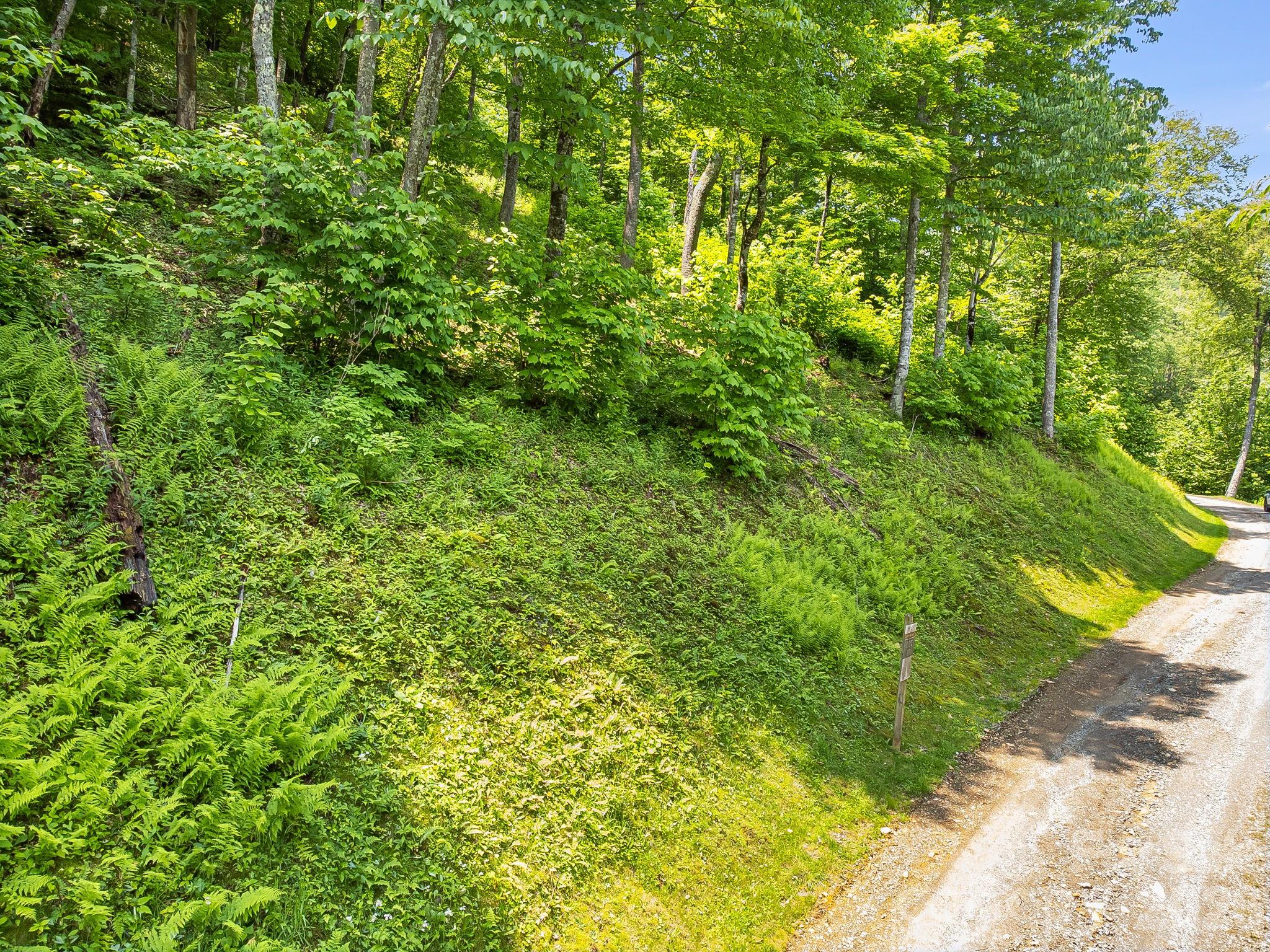 17 Mountain Gait Drive Mars Hill NC 28754