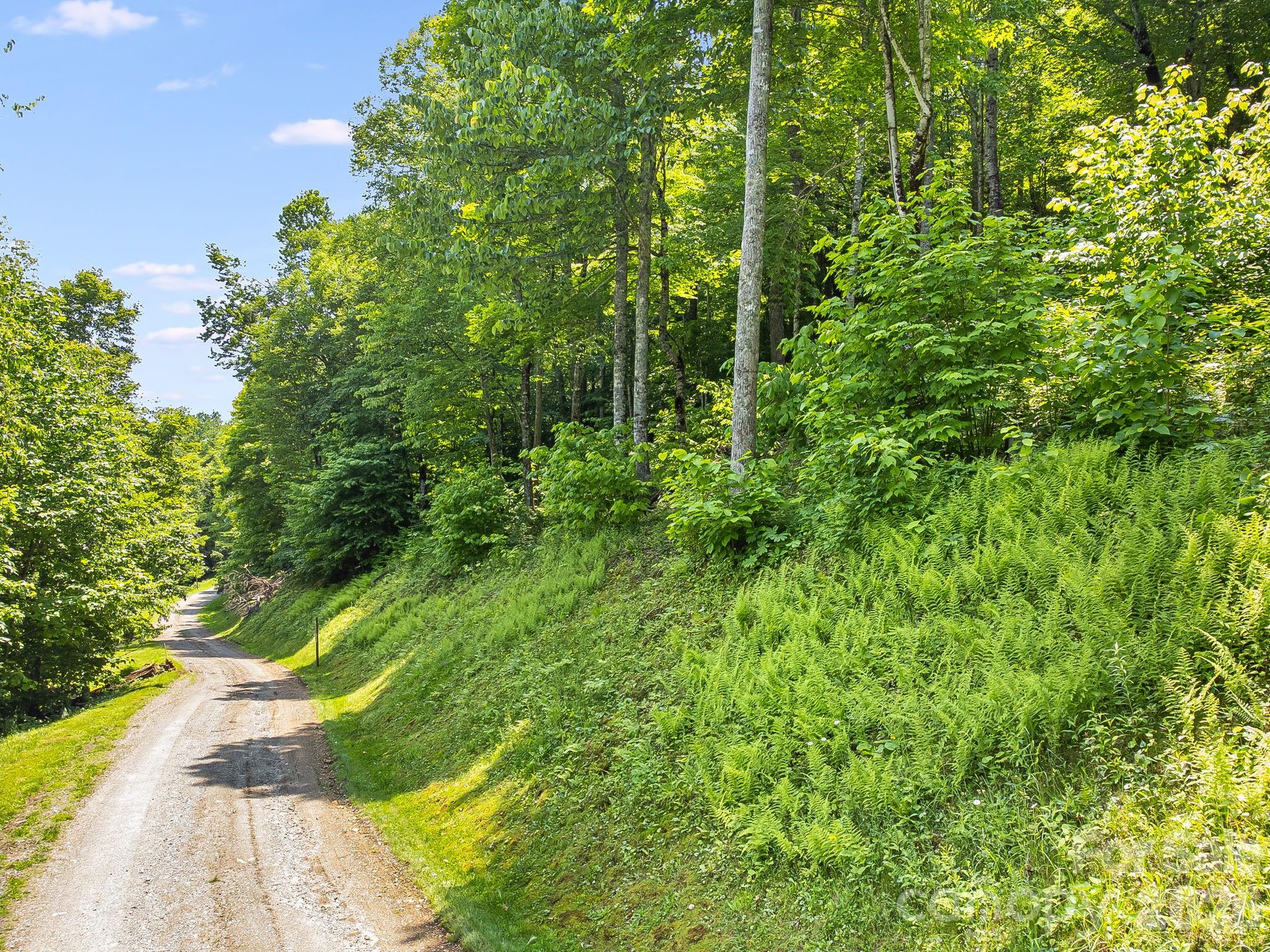 17 Mountain Gait Drive Mars Hill NC 28754