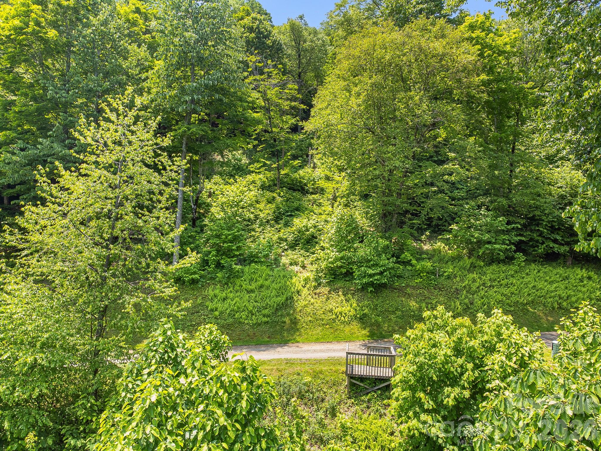 17 Mountain Gait Drive Mars Hill NC 28754