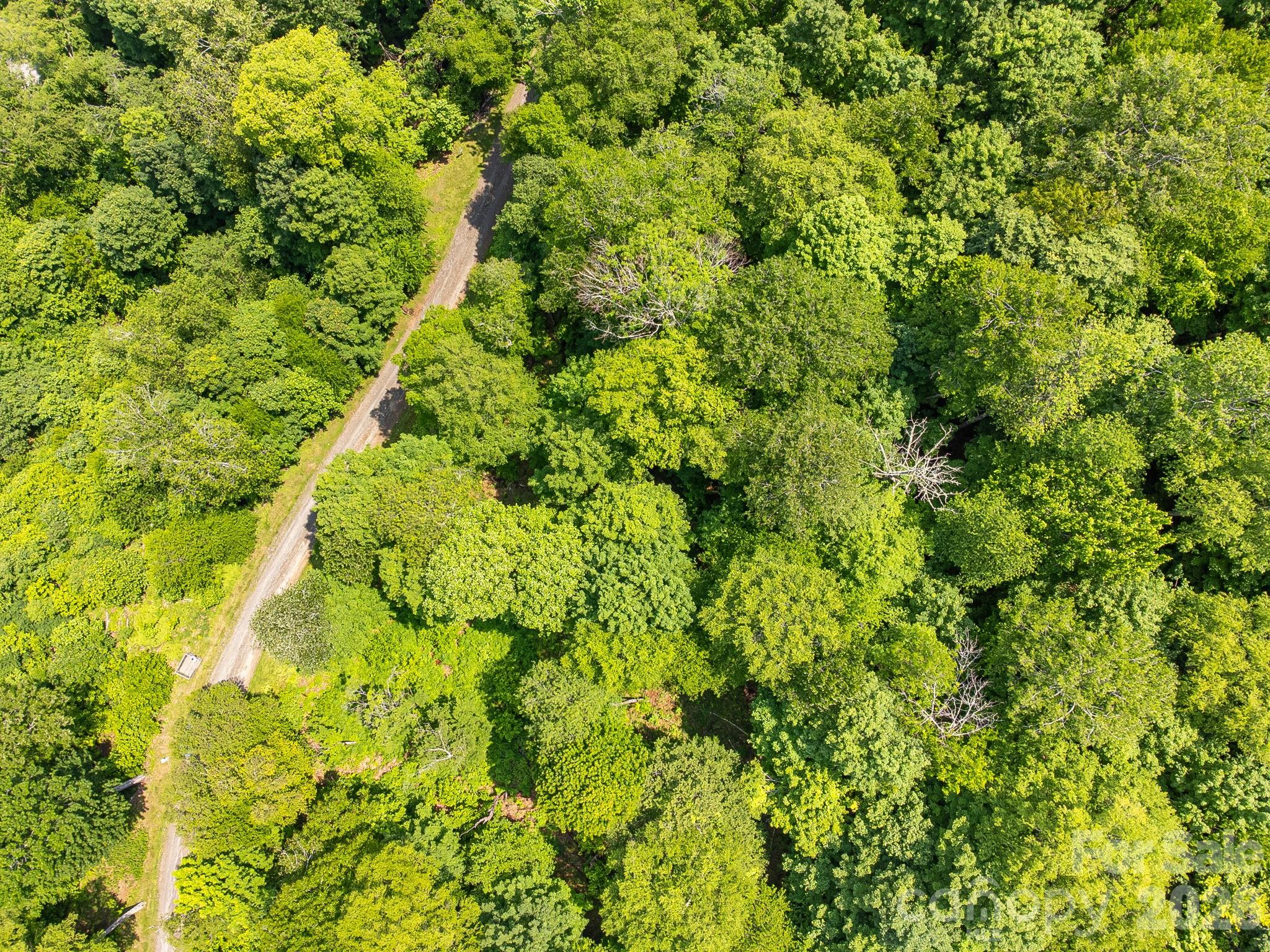 17 Mountain Gait Drive Mars Hill NC 28754