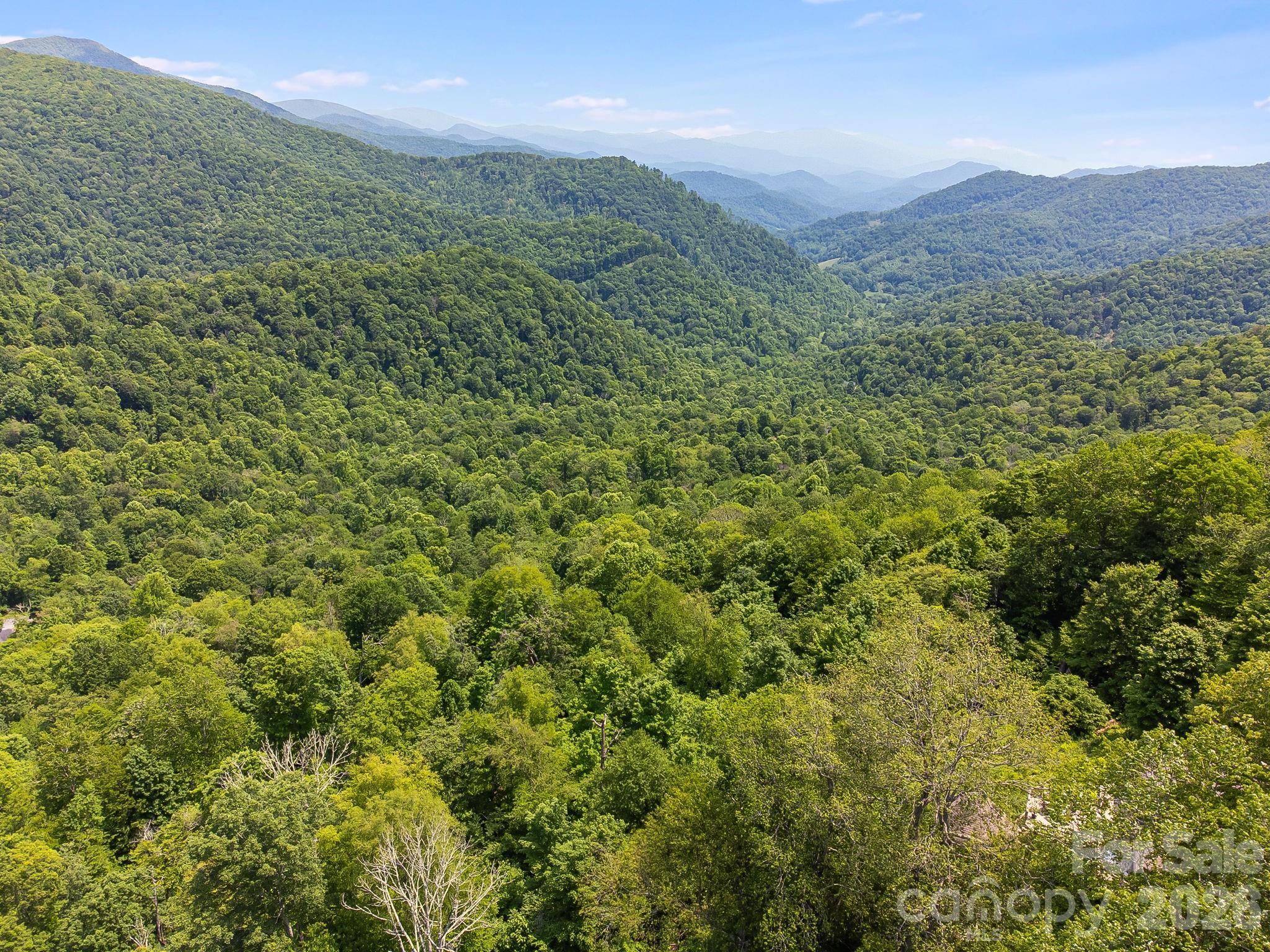 17 Mountain Gait Drive Mars Hill NC 28754