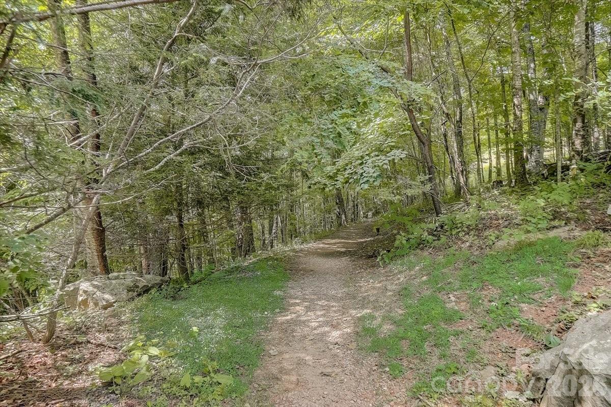 17 Mountain Gait Drive Mars Hill NC 28754