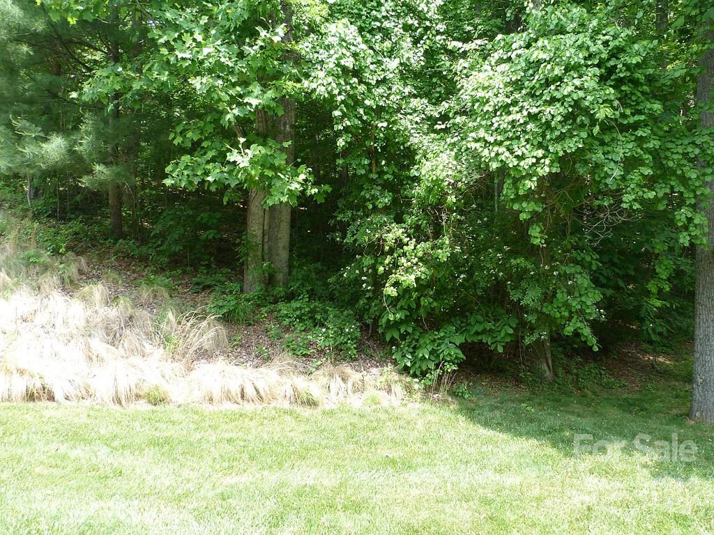 201 Bent Pine Trace Hendersonville NC 28739