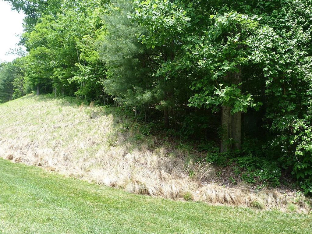 201 Bent Pine Trace Hendersonville NC 28739