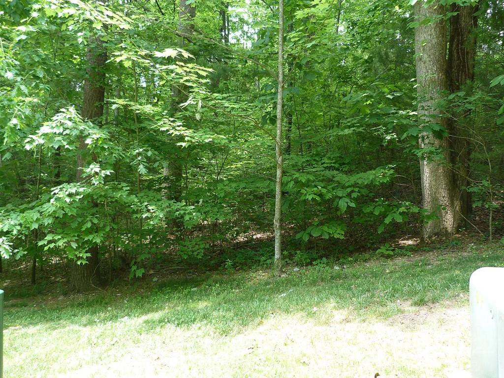 201 Bent Pine Trace Hendersonville NC 28739