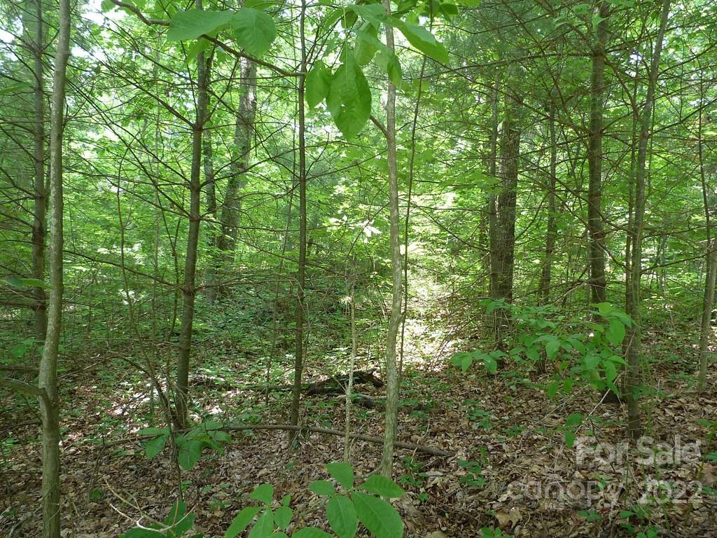 201 Bent Pine Trace Hendersonville NC 28739