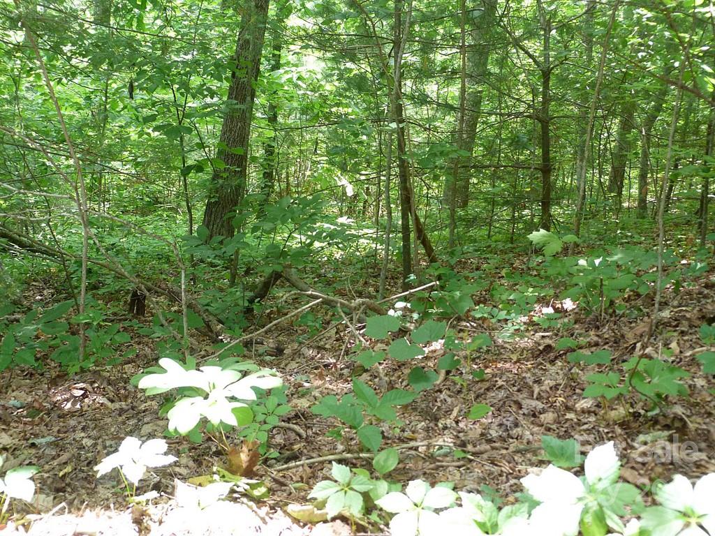 201 Bent Pine Trace Hendersonville NC 28739