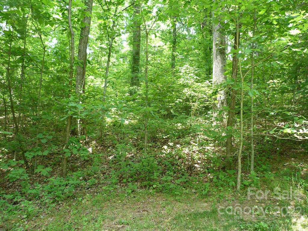 201 Bent Pine Trace Hendersonville NC 28739