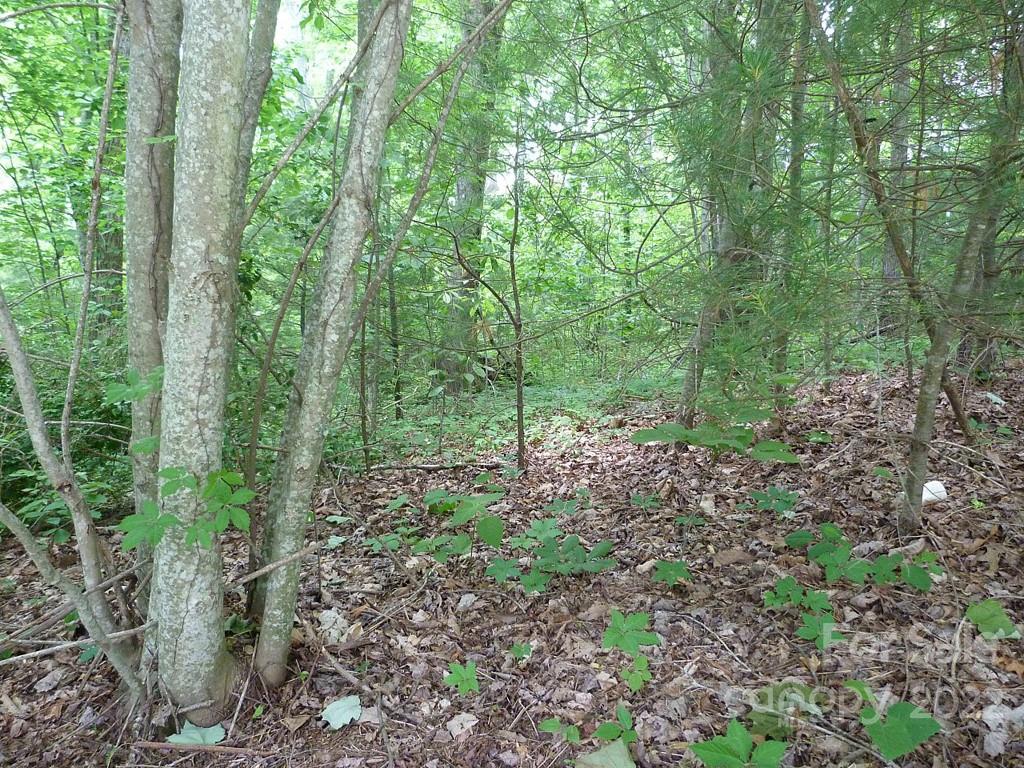 201 Bent Pine Trace Hendersonville NC 28739