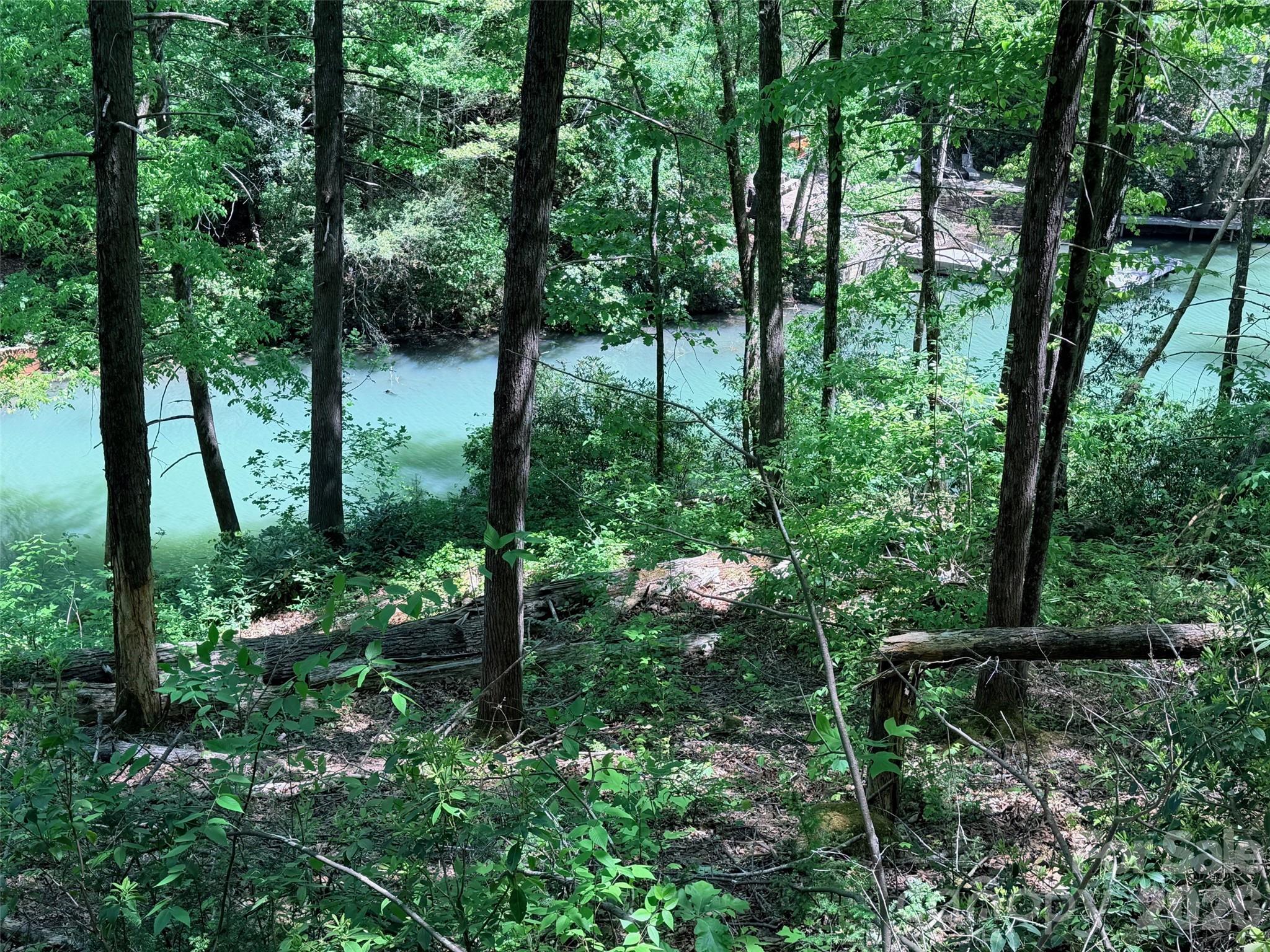 595 Quail Ridge Boulevard Lake Lure NC 28746