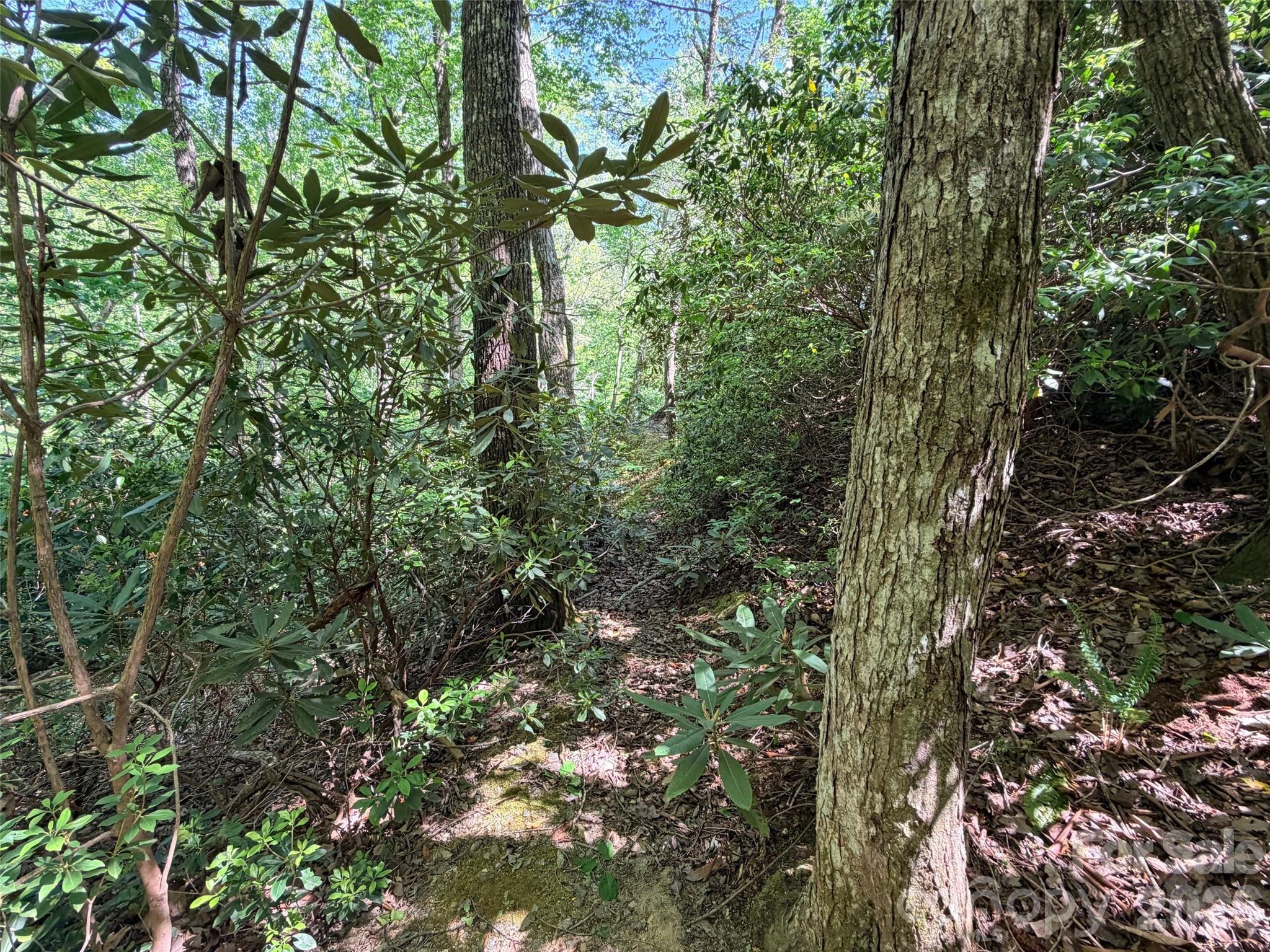 595 Quail Ridge Boulevard Lake Lure NC 28746