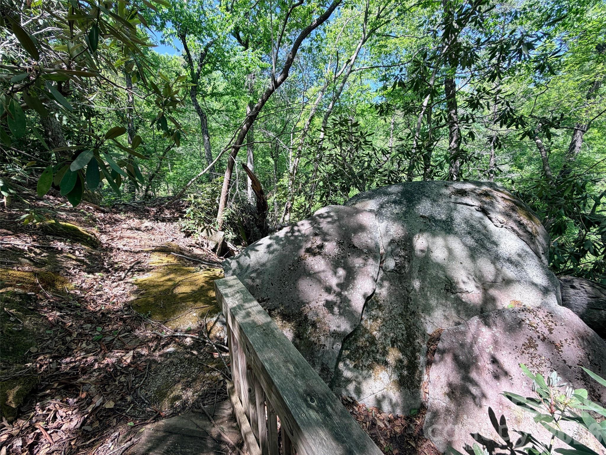 595 Quail Ridge Boulevard Lake Lure NC 28746