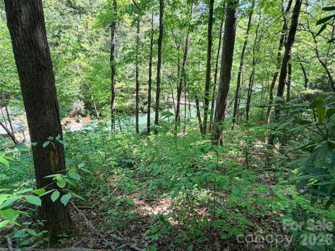 595 Quail Ridge Boulevard Lake Lure NC 28746