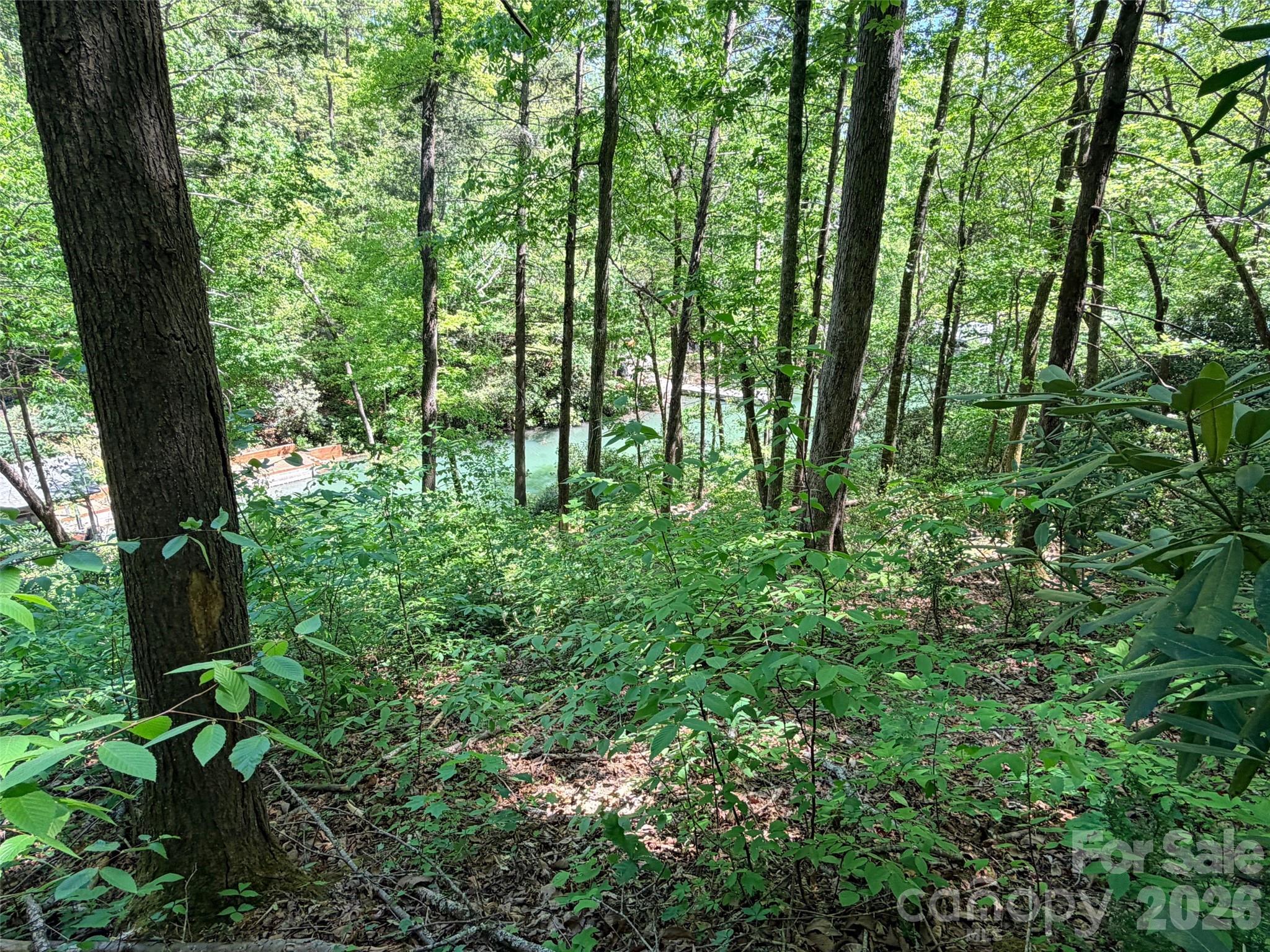 595 Quail Ridge Boulevard Lake Lure NC 28746