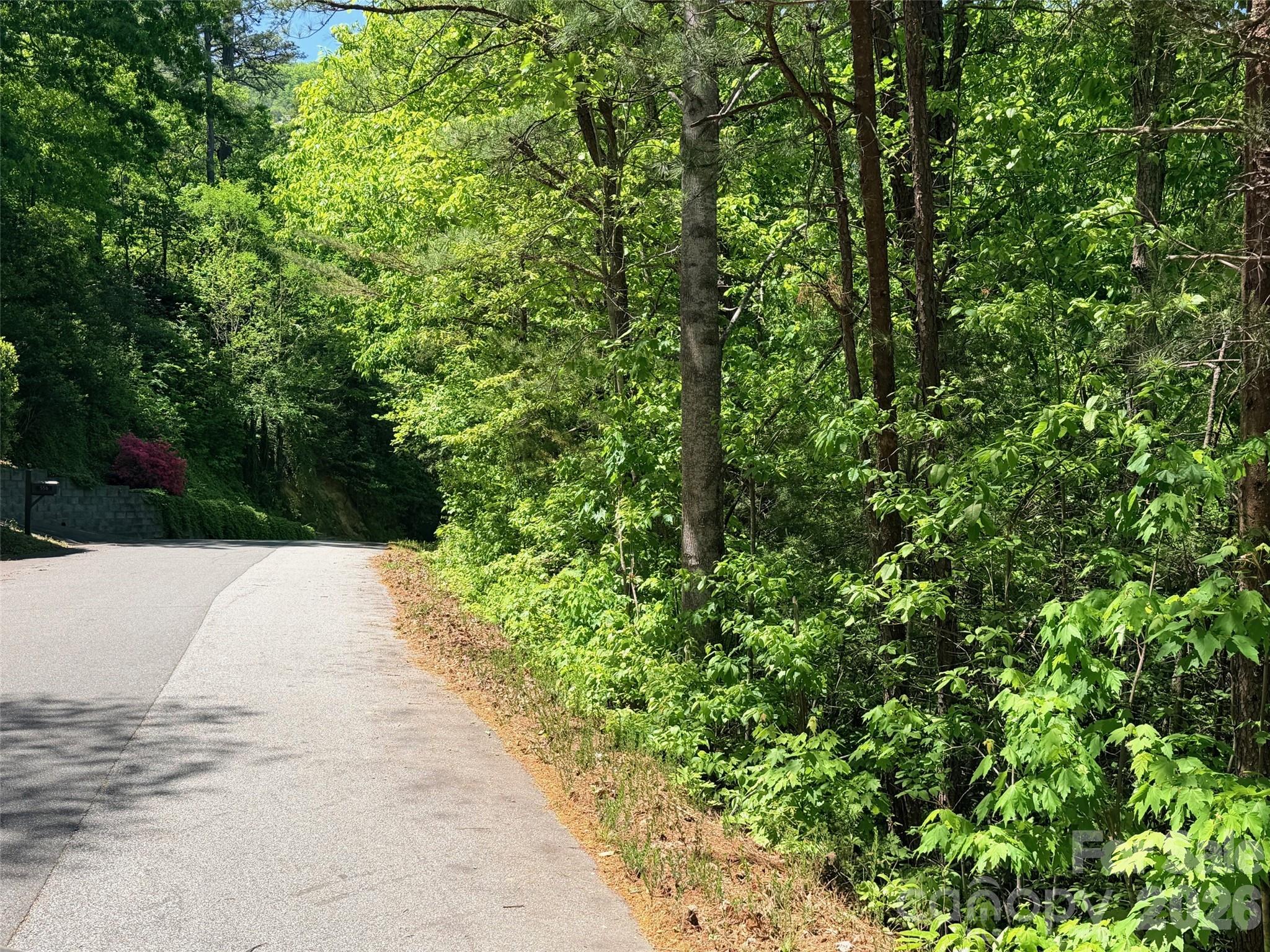 595 Quail Ridge Boulevard Lake Lure NC 28746