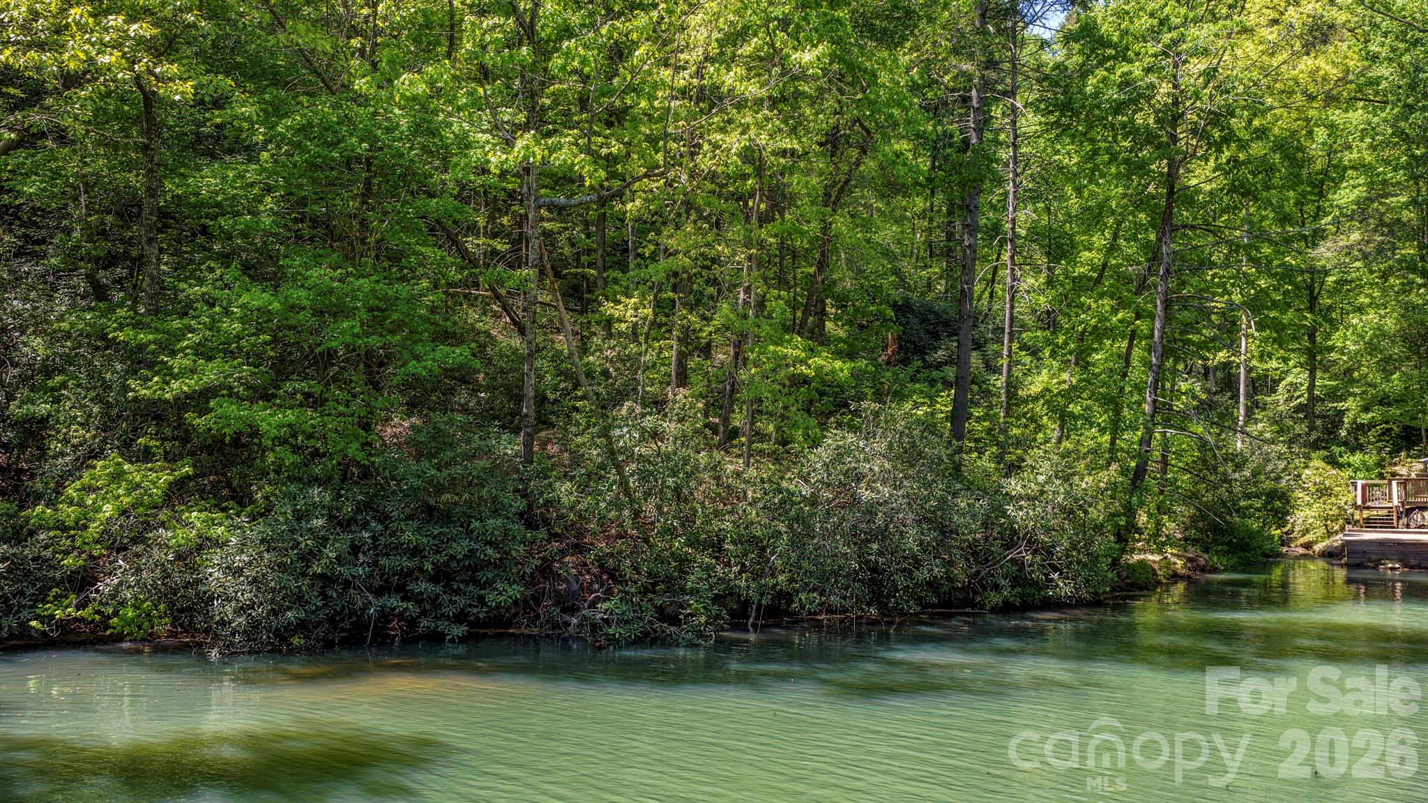 595 Quail Ridge Boulevard Lake Lure NC 28746