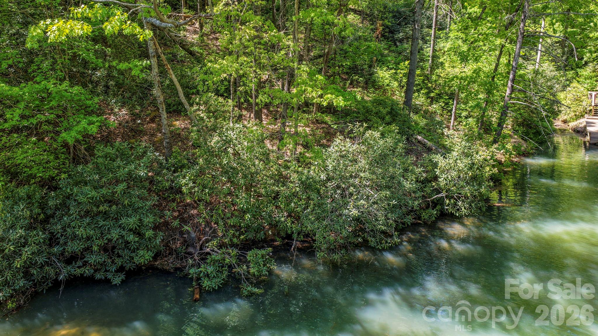 595 Quail Ridge Boulevard Lake Lure NC 28746