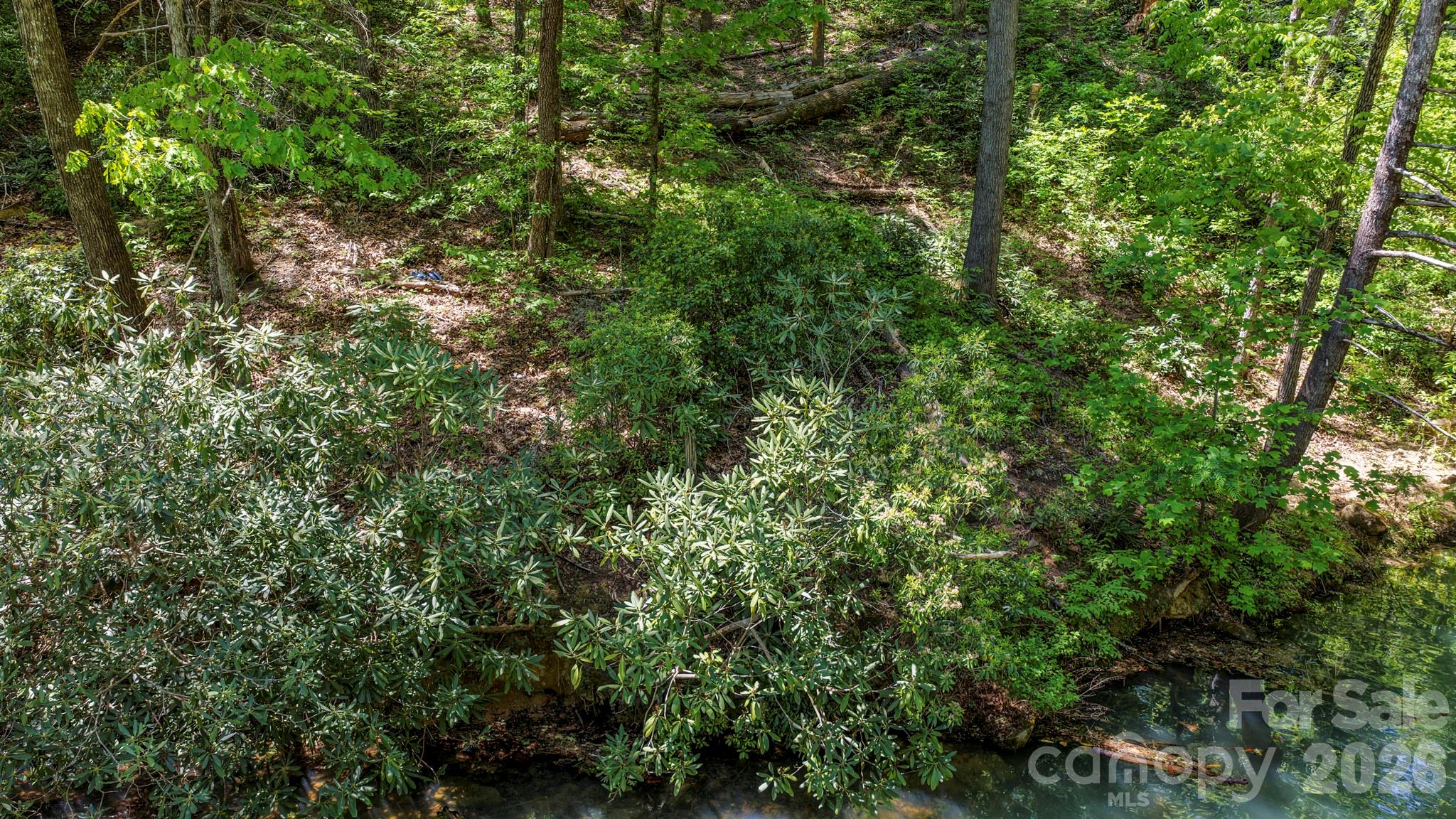 595 Quail Ridge Boulevard Lake Lure NC 28746