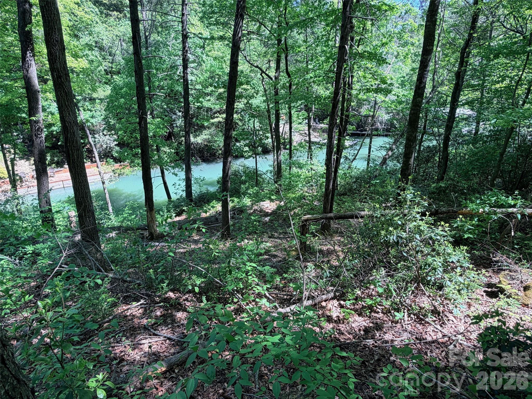 595 Quail Ridge Boulevard Lake Lure NC 28746
