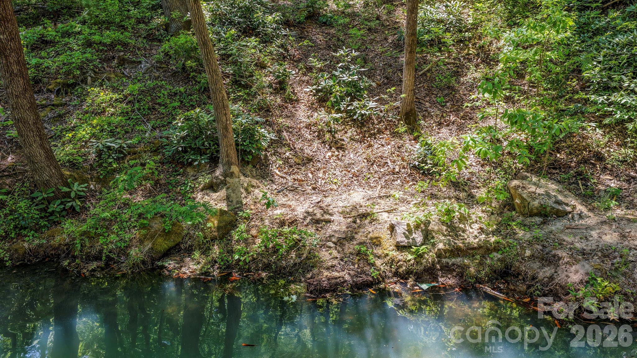 595 Quail Ridge Boulevard Lake Lure NC 28746